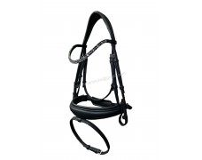 Leather Bridle 